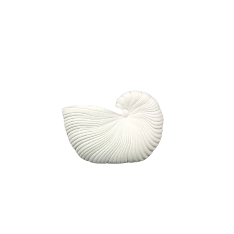 Vase Coquillage sur fond blanc